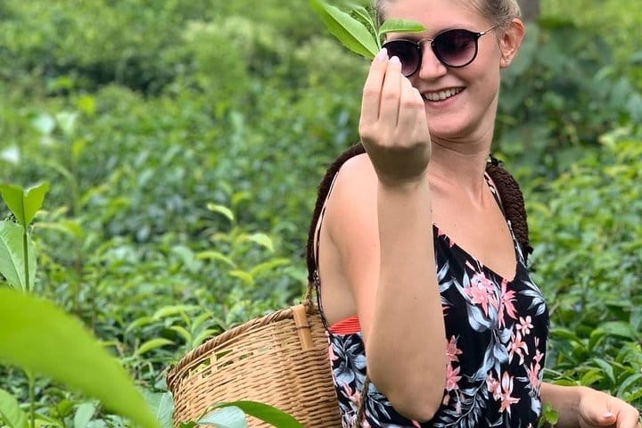 3 Days Tour to Sigiriya & Kandy with Kingfisher Tours Sri Lanka