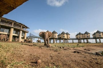 3 Days Private Safari To Saltlick Lodge From Nairobi