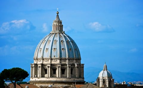 Private Walking Tour of St. Peter's Basilica and Papal Tombs