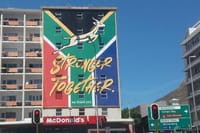 The Springboks