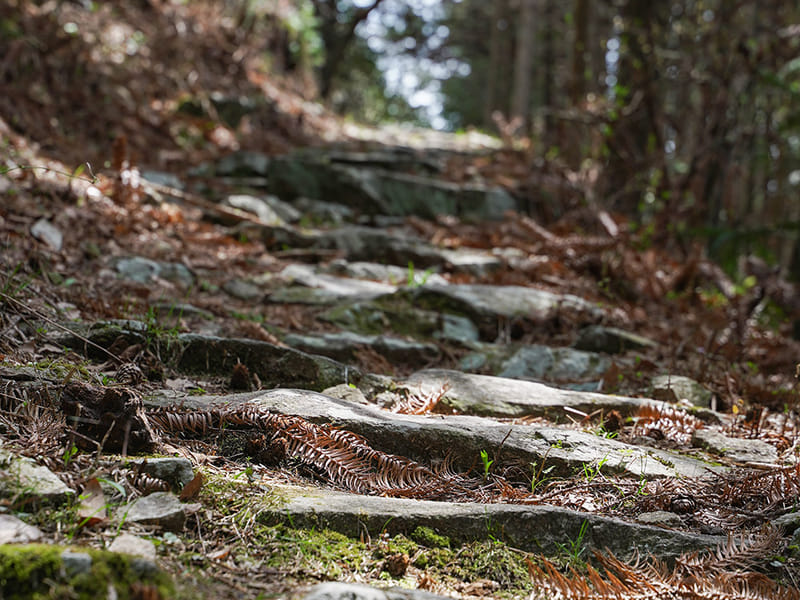 Hui-Kai Ancient Trail: 2-Day Private Trek from Anhui's Baiji to Zhejiang Mountain Villages