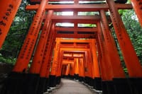 Kyoto Early Bird Tour in Uji and Fushimi Inari  3