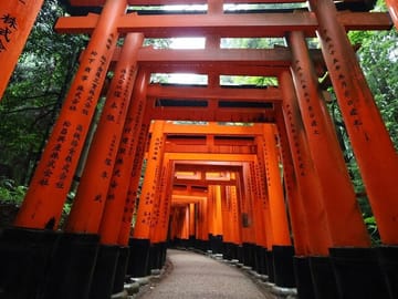 Kyoto Early Bird Tour in Uji and Fushimi Inari