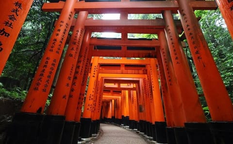 Kyoto Early Bird Tour in Uji and Fushimi Inari