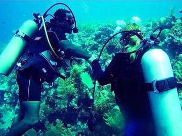 Learn to Dive in Roatan with a PRO Divemaster