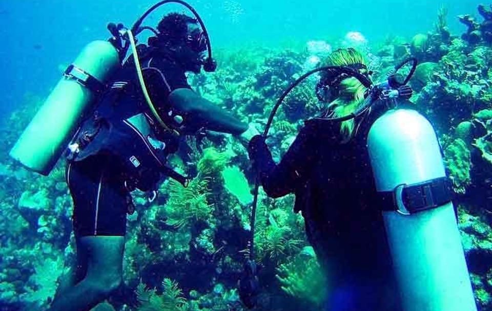 Discover Scuba Diving in Flowers Bay, Honduras