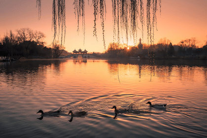 Yangzhou Slender West Lake Adult electronic ticket for the night