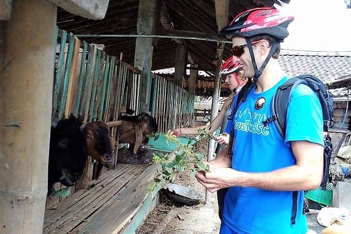 Private Yogyakarta Village Full-Day Bike Tour