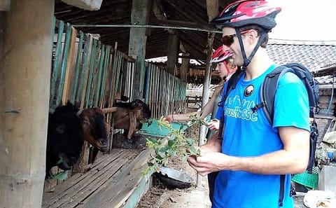 Full-Day Private Bike Tour of Yogyakarta's Bantul Villages