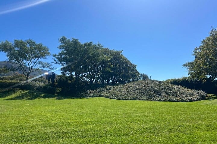 Cape Town Half-Day Tandem Paragliding and Wine Tasting Tour