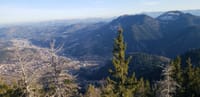 Private Buggy Experience All Seasons in Pamporovo 3