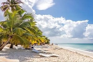 Saona Island Highlights Tour by Boat with Buffet Lunch