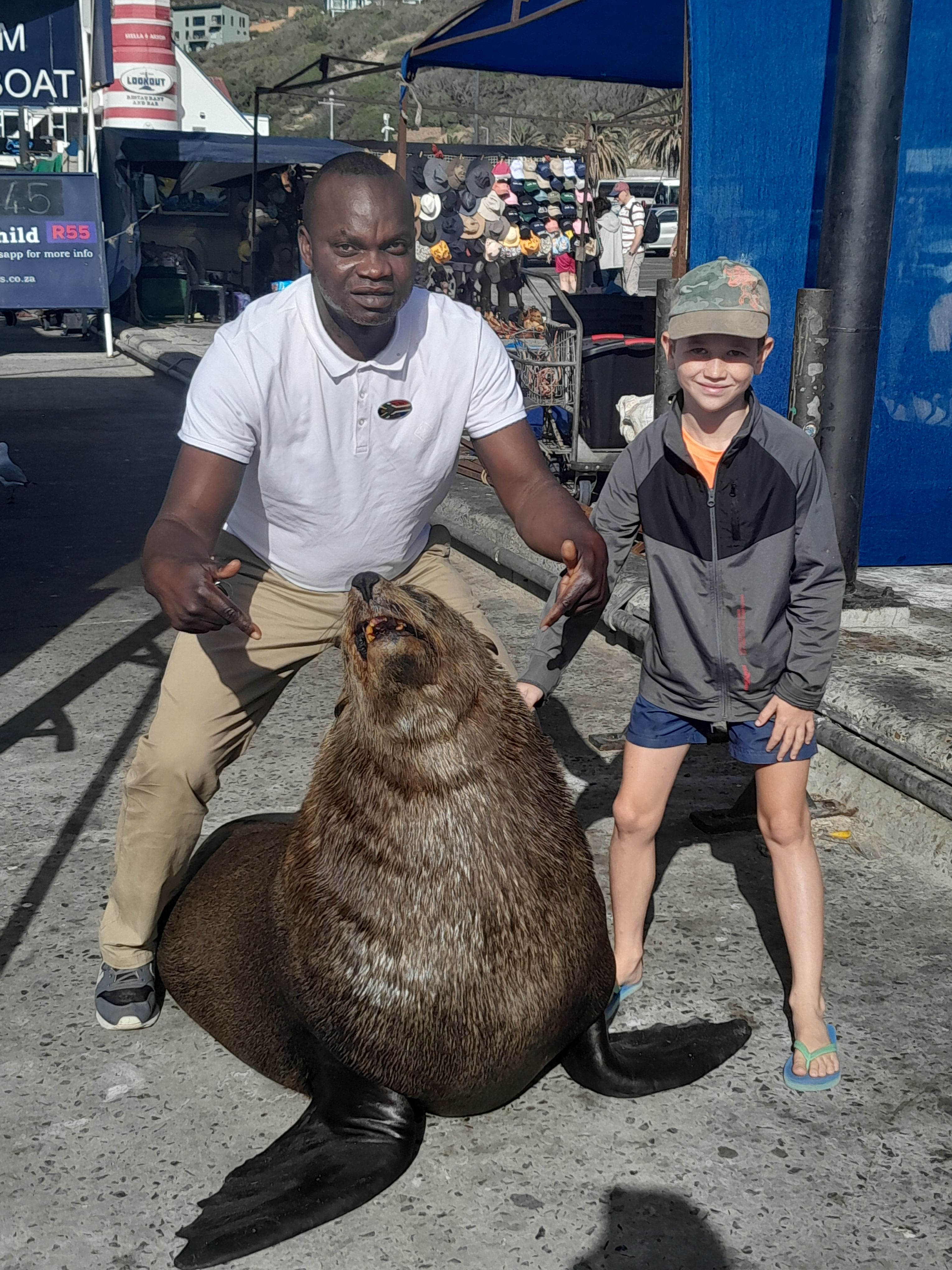 Cape of Good Hope & Penguins small Groupe tour from Cape town