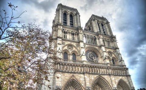 Professional Photoshoot at Notre Dame in Paris