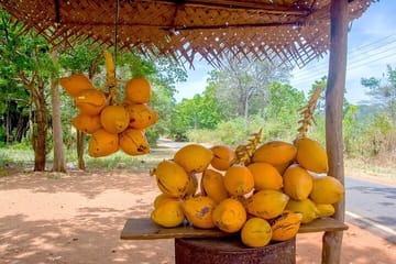 Colombo Tuk Tuk Tour: Discover Local Food and Culture