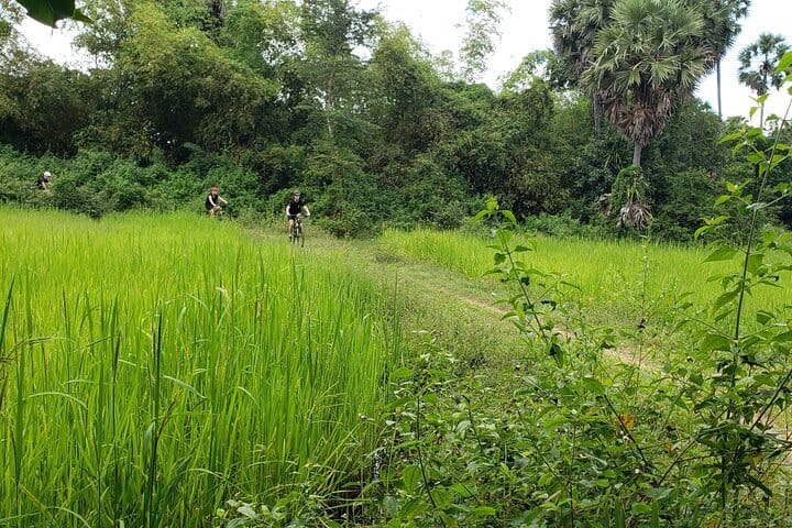 Angkor Jungle Biking Adventure Private Cycling Tour 7