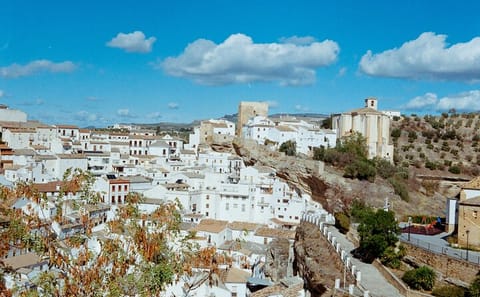 Ronda and Setenil Day Trip from Malaga with Photography Stop