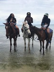 Atv and Horseback Ride/Swim from Montego Bay