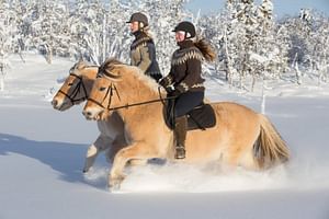 Icelandic horse riding 1h
