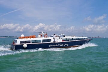 Motorboat Rental with Optional Aperitif in Venice