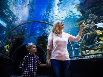 Antalya Aquarium and Fun Park Half-Day Tour with Pickup