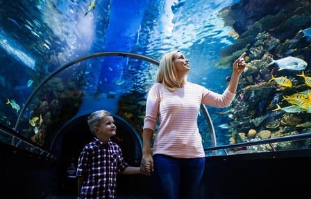 Antalya Aquarium and Fun Park Half-Day Tour with Pickup