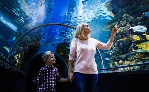 Antalya Aquarium and Fun Park Half-Day Tour with Pickup