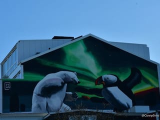 Reykjavik Street Art Backstreets and Stories , photo 11