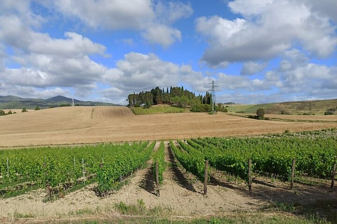 Private Chianti Hills Tour with Lunch and Tastings