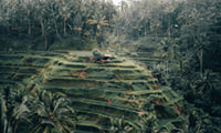 Private Bali Full Day Tour Include Natural Landscapes and Temples 8