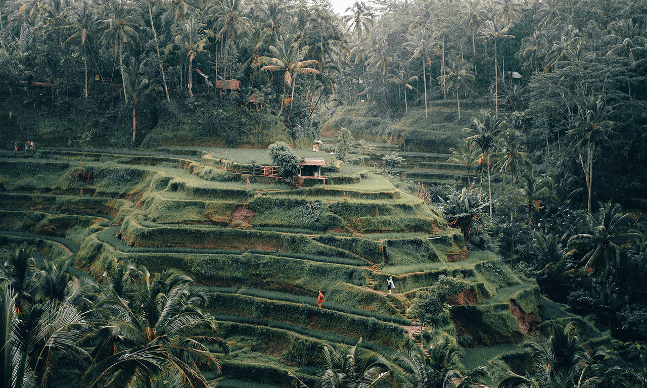 Private Bali Full Day Tour Include Natural Landscapes and Temples 8
