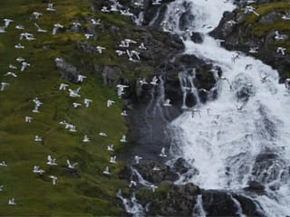 Isafjordur and Westfjords Private Day Tour, photo 10