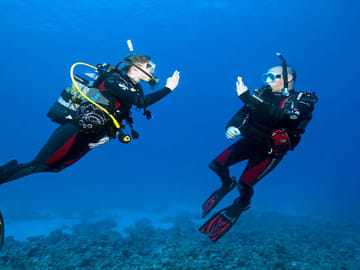 PADI Open Water Scuba Diving Course in Ras Mohamed, Sharm El Sheikh