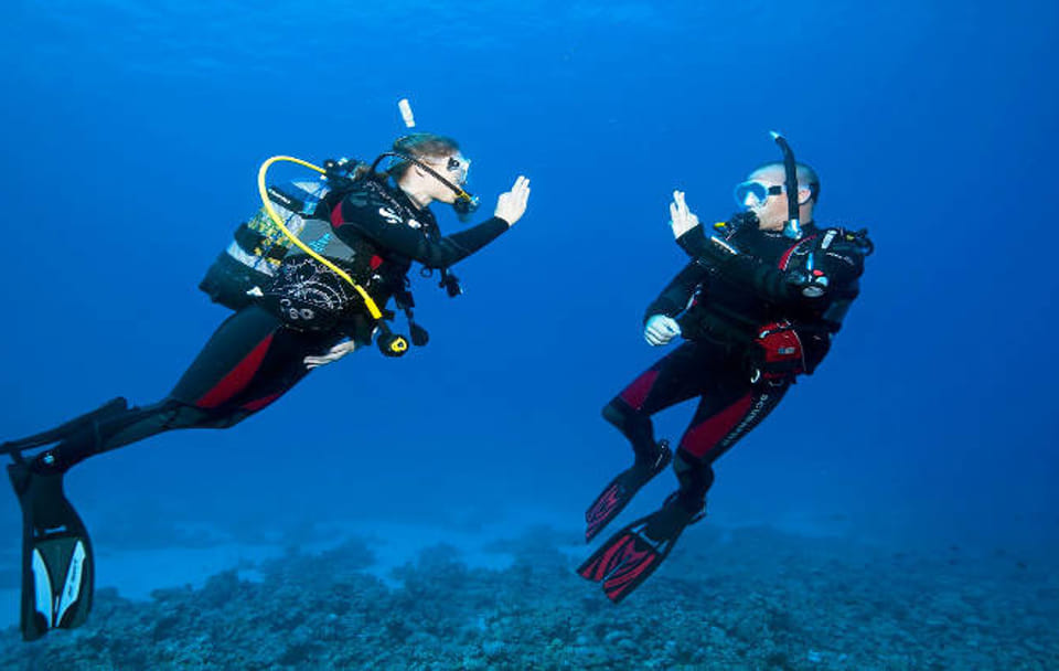 PADI Open Water Scuba Diving Course in Ras Mohamed, Sharm El Sheikh