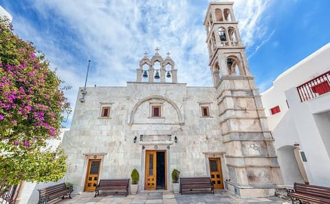 Mykonos Highlights Tour: Explore Ano Mera and Kalafati by Van