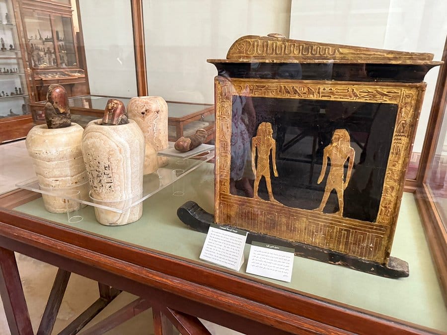 A week in Sharm el sheikh Egypt