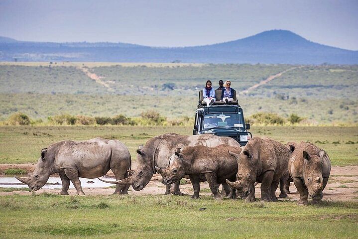 Exciting Safari Adventure: Explore Ol Pejeta, Aberdare & Solio Ranch