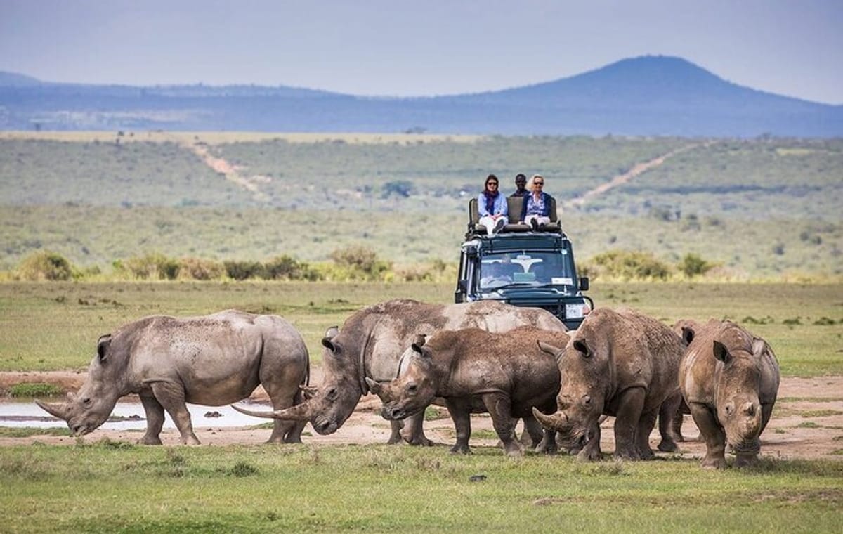 4-Day Ol Pejeta, Aberdare,& Solio Ranch Safari on 4×4 Jeep