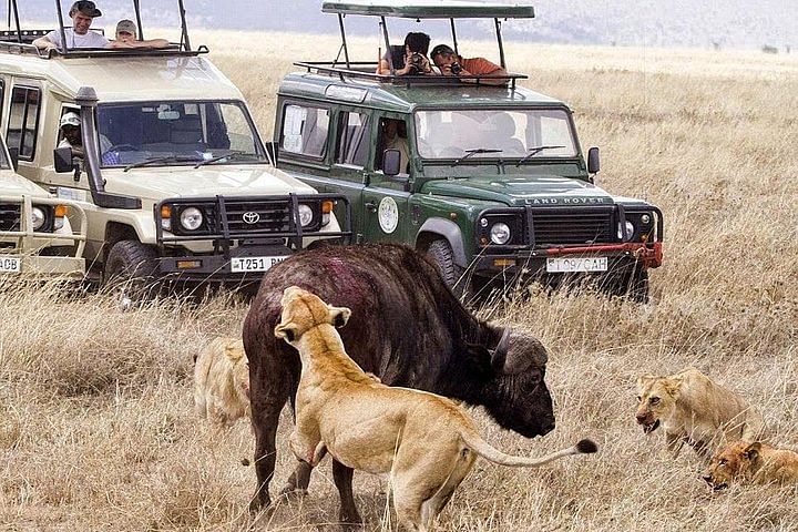 Spectacular Tanzania Wildlife Safari: Tarangire, Ngorongoro & Serengeti