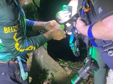 TN2-Into the Wild After Dark: A Nocturnal Hike in Belize’s Jaguar Preserve