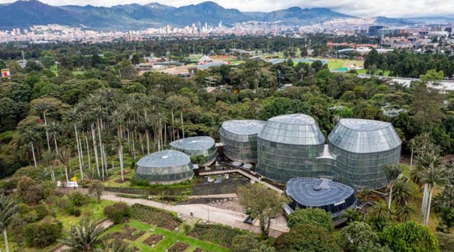 Visita al Jardín Botánico