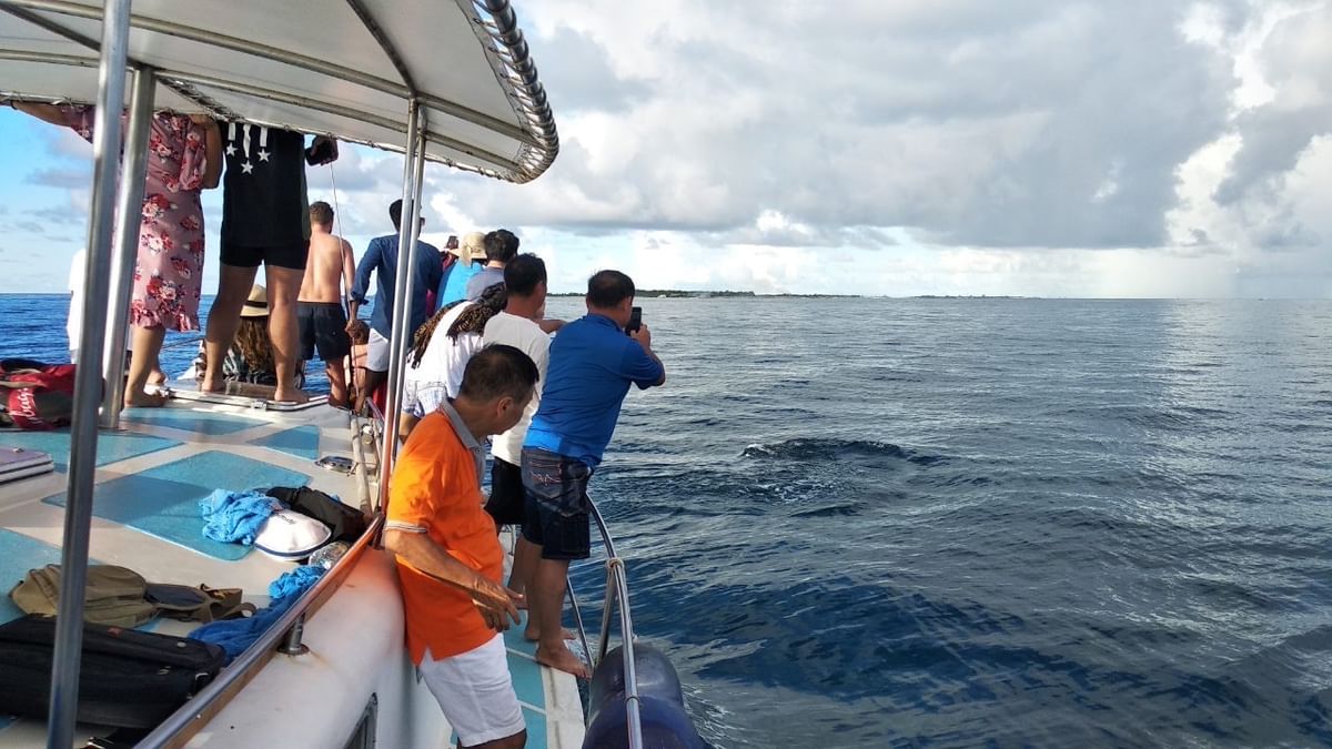 Maldives Dolphin Cruise, Sandbank Adventure & Local Island Tour