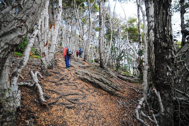 Half-Day Small-Group Tierra del Fuego National Park Tour from Ushuaia 10