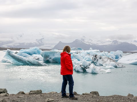 Private Glacier Lagoon, Diamond Beach & South Coast, photo 12