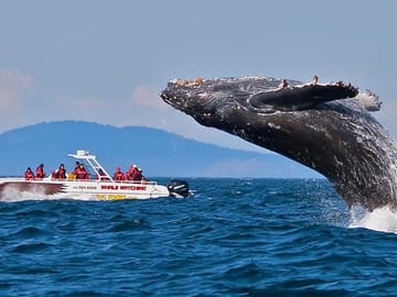 Wild Wonders Of Sri Lanka | 7 Days