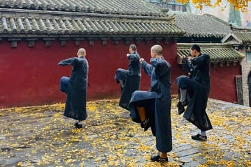 Private Day Tour of Longmen Grottoes and Shaolin Temple in Luoyang