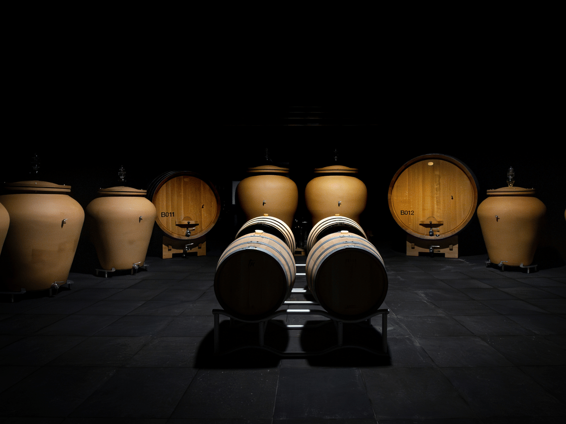 Organic Winery Visit near Turin with Wine & Food Tasting 6