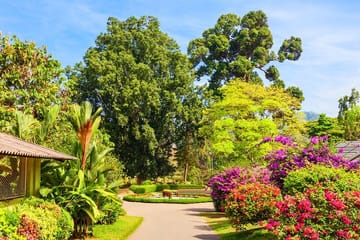 Private Tour of Godawari Botanical Garden Including Lunch