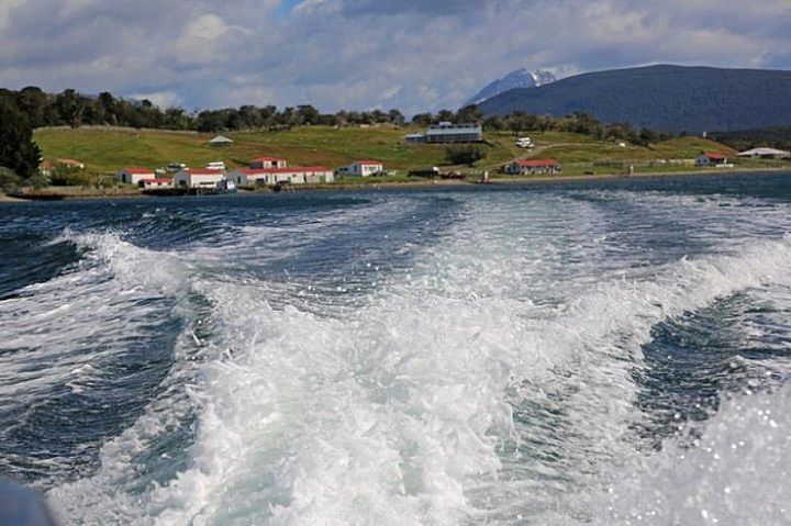 Beagle Channel Cruise: Explore Sea Lions, Penguins & Harberton Ranch