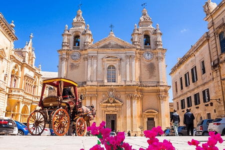 Mdina Highlights & Malta’s Best: Culture, Nature, and Artisan Crafts